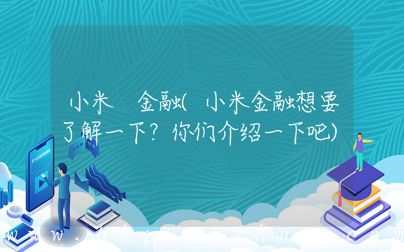 小米 金融(小米金融想要了解一下？你们介绍一下吧)